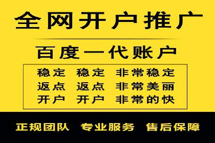 百度推广在电商行业的成功案例